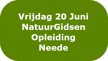 2025-06-20 - NGO