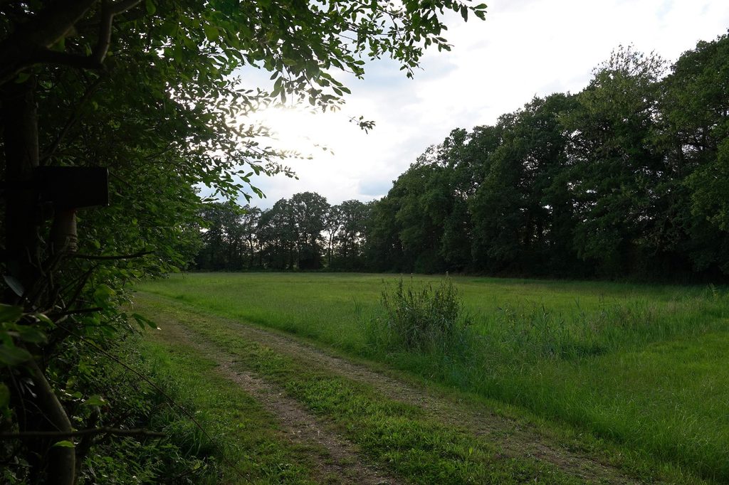 Landgoed001 -@Joeke